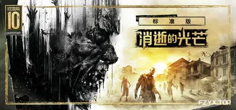 消逝的光芒/Dying Light