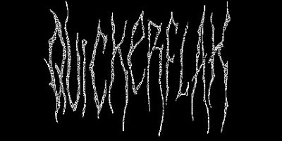 快闪/QUICKERFLAK